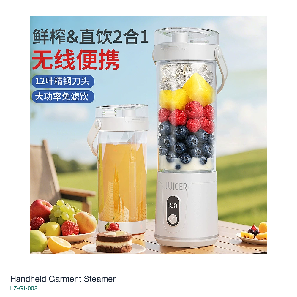 Handheld Garment Steamer LZ-GI-002