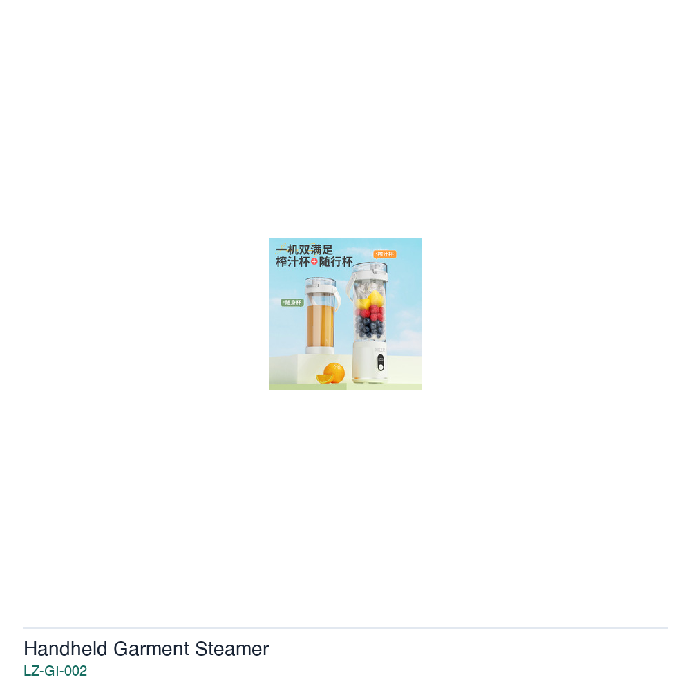 Handheld Garment Steamer LZ-GI-002 product image 2