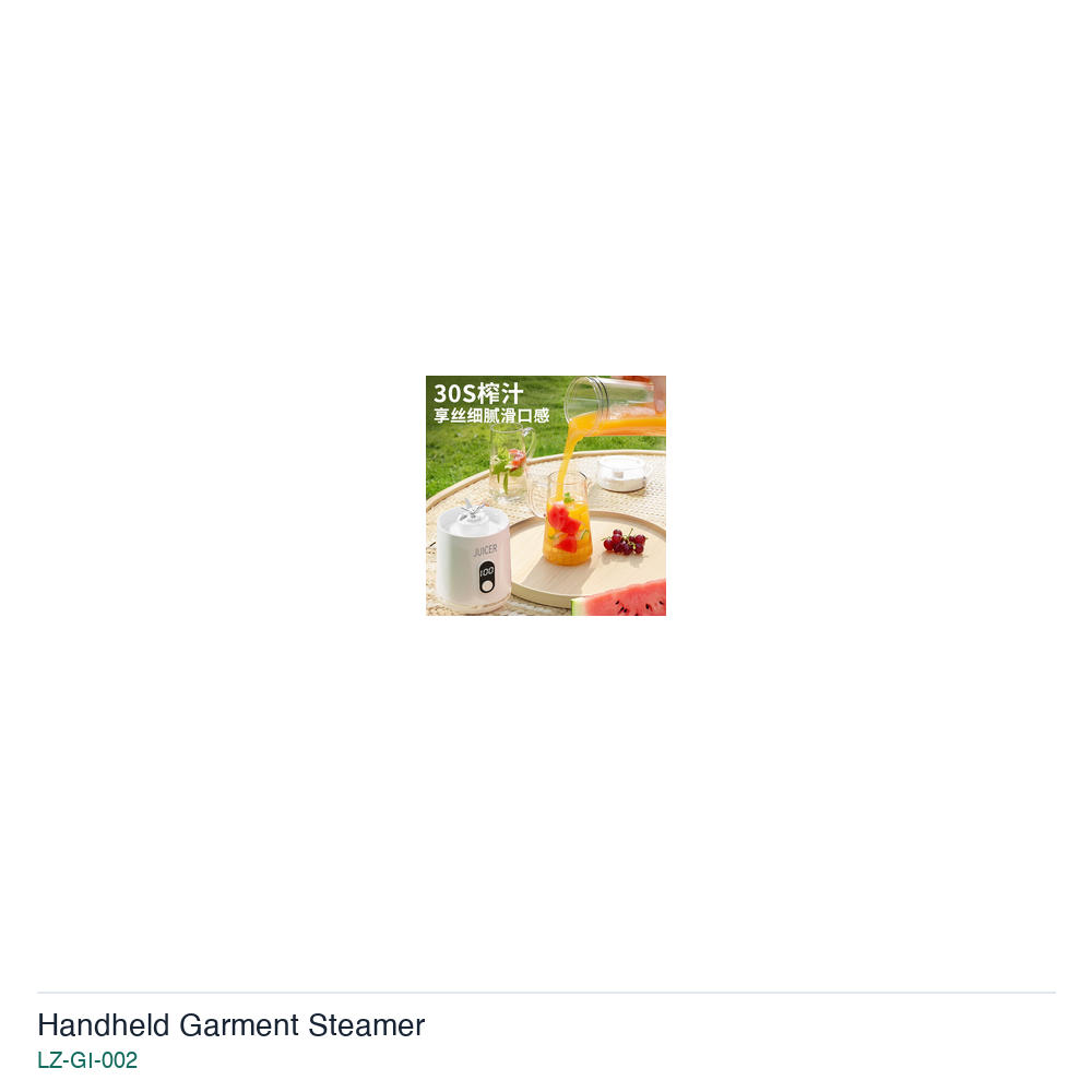 Handheld Garment Steamer LZ-GI-002 product image 4