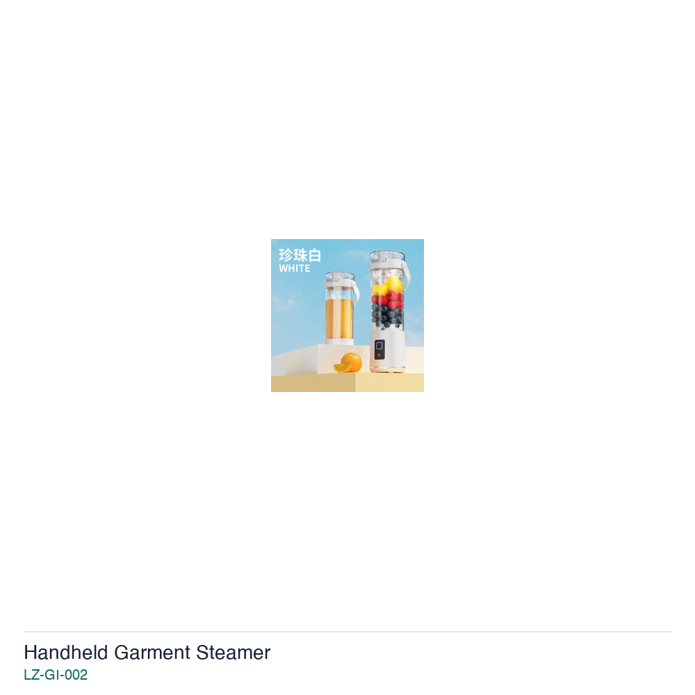 Handheld Garment Steamer LZ-GI-002 product image 5